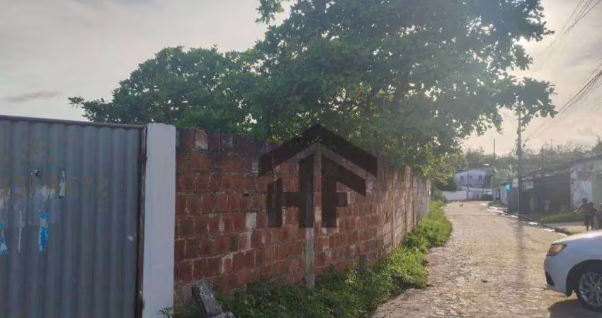 Terreno comercial ou residencial à venda, área total de 11.000m², localizado em bela vista, igarassu - pernambuco.