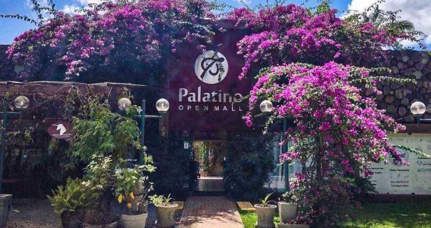 Varias salas comerciais a partir de 15m² para alugar, localizada em aldeia, camaragibe - pernambuco.
