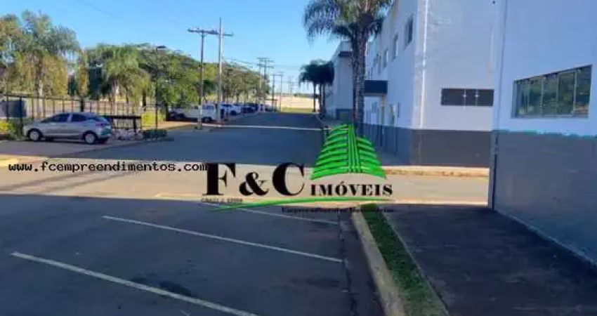 Galpão para locação em limeira, área rural de limeira, 3 dormitórios, 3 banheiros