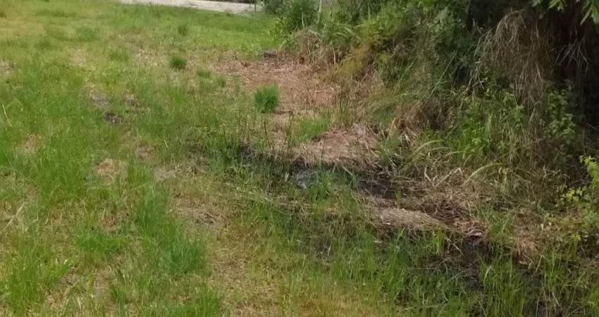 Terreno esquina c/ 442,50 m2  R$ 100.000,00 ( Praia do Ervino -SFS)