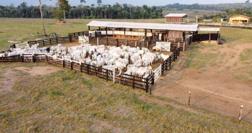 Fazenda   a  venda