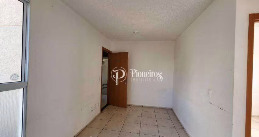 Apartamento pra Alugar