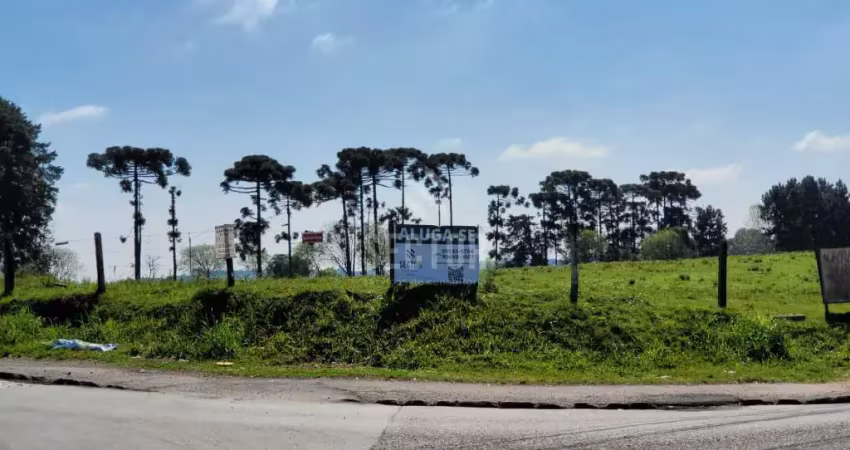 Terrenos / lotes / condomínio  em rio pequeno  -  são josé dos pinhais