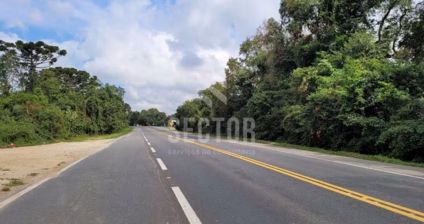 Área Rural a venda na Lapa  Rod. BR 476