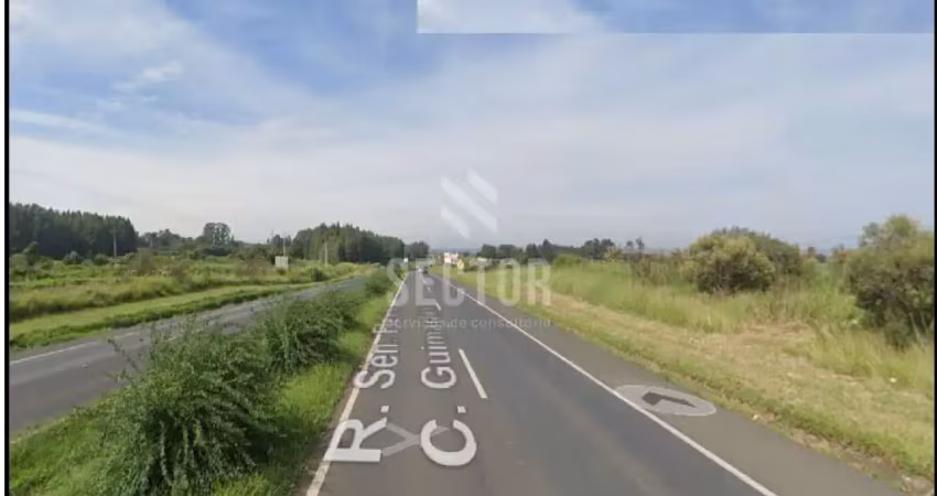 Terrenos / lotes / condomínio  em boqueirão  -  carambeí