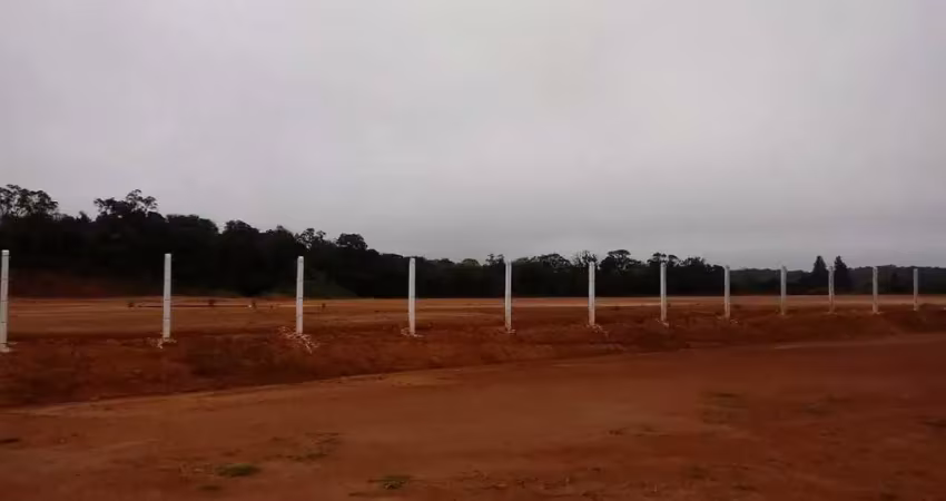 Ponto comercial com 1 sala à venda na Rodovia BR-376, São Marcos, São José dos Pinhais
