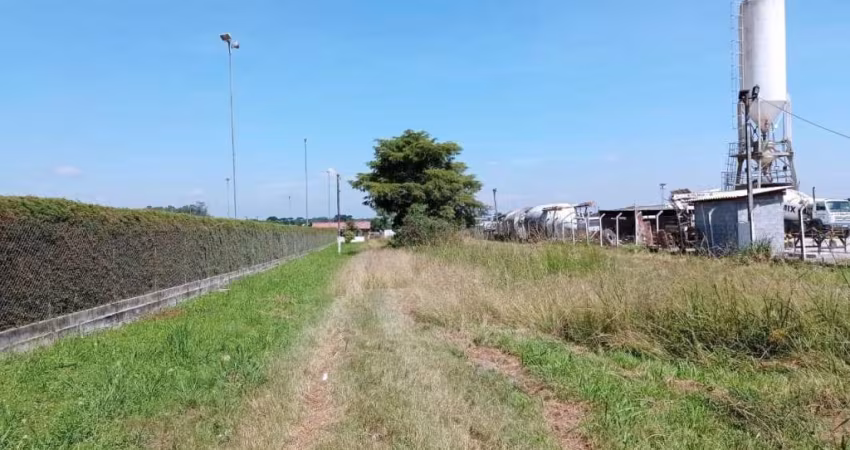 Terreno para locação em Costeira  -  São José dos Pinhais