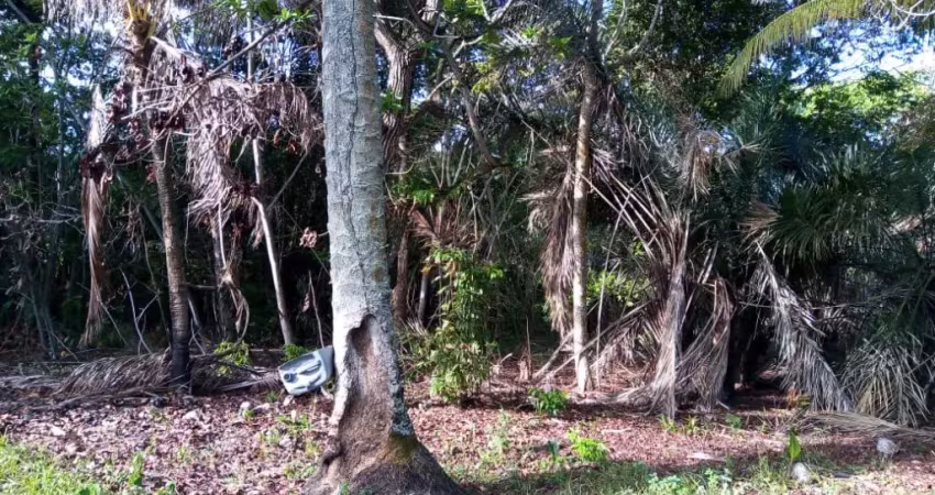 Terreno comercial à venda na Rua Quingoma, Quingoma, Lauro de Freitas