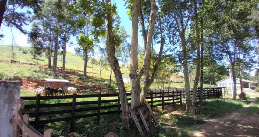 Sítio com 2 dormitórios à venda, 193600 m² por r$ 1.600.000,00 - zona rural - lagoinha/sp