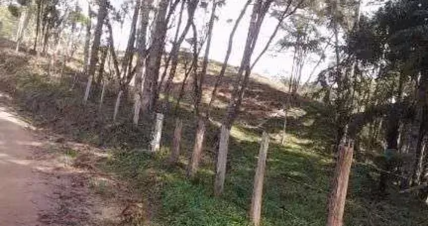 Chácara à venda, 23600 m² por r$ 850.000 - rio manso - cunha/sp