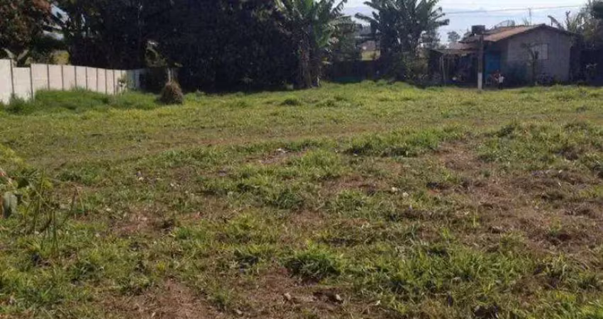 Terreno à venda, 3000 m² por r$ 750.000 - jardim santa cecília - pindamonhangaba/sp