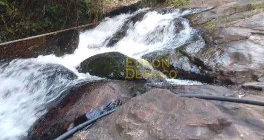 Sítio à venda, 78000 m² por R$ 980.000,00 - Cruz Grande - Pindamonhangaba/SP