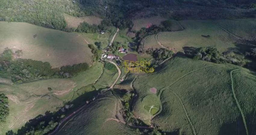 Fazenda à venda, 1984400 m² por R$ 4.000.000,00 - Cruz Pequena - Pindamonhangaba/SP
