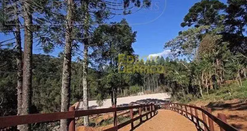 Haras à venda, 145200 m² por r$ 6.500.000,00 - sítio - são bento do sapucaí/sp