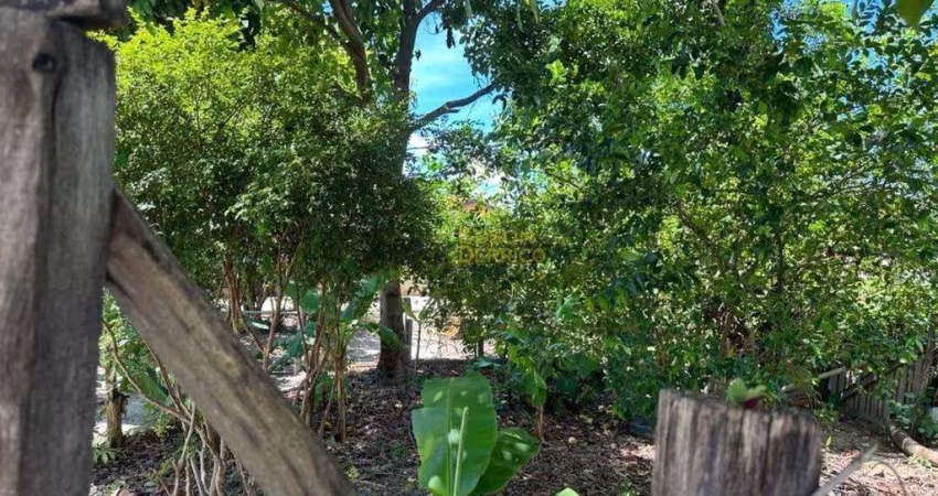 Terreno à venda, 253 m² por R$ 115.000,00 - Conjunto Habitacional Terra dos Ipês I (Norte) - Pindamonhangaba/SP