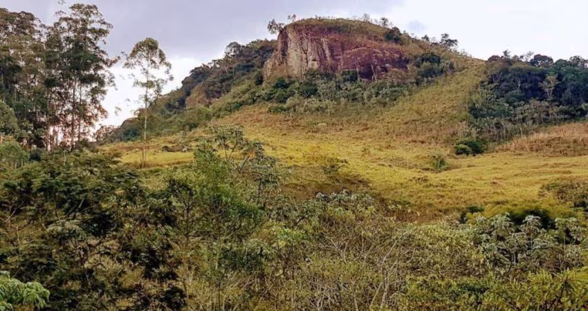 Sítio à venda, 107776 m² por R$ 799.000,00 - Pinga - Pindamonhangaba/SP