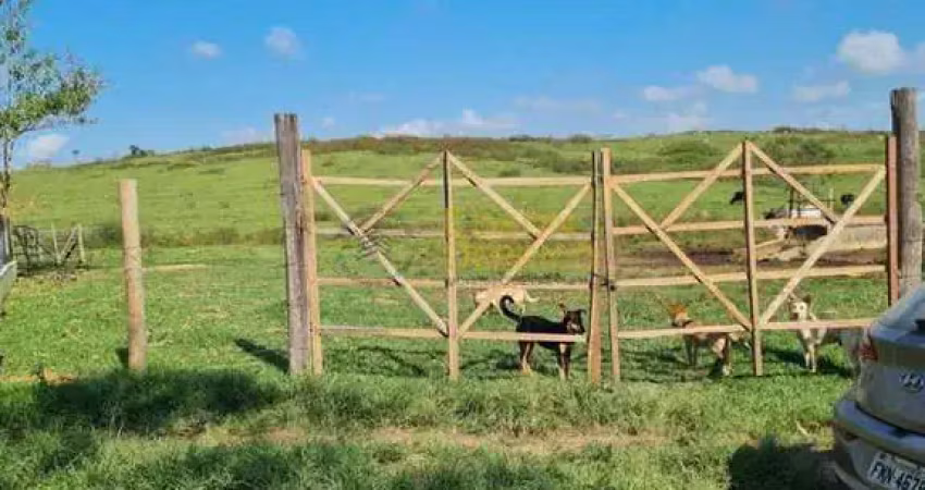 Chácara / sítio com 3 quartos para alugar no Borba, Pindamonhangaba 