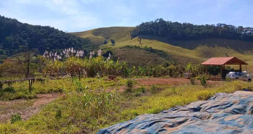 Chácara / sítio à venda no Pinga, Pindamonhangaba 