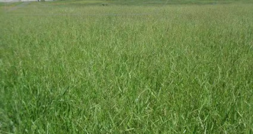 Terreno comercial à venda no Feital, Pindamonhangaba 
