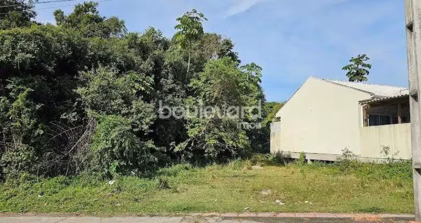 Terreno à venda na Rua João Francisco Barcelos Júnior, Bela Vista, Palhoça
