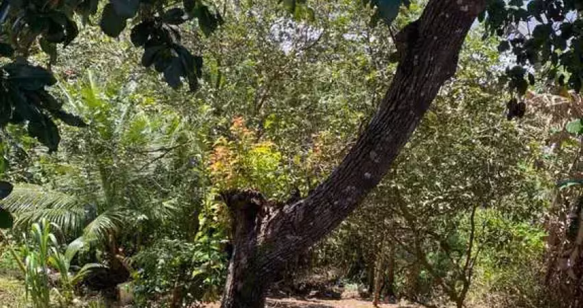 Terreno em condomínio fechado à venda na MALHADO, 3214, Malhado, Ilhéus