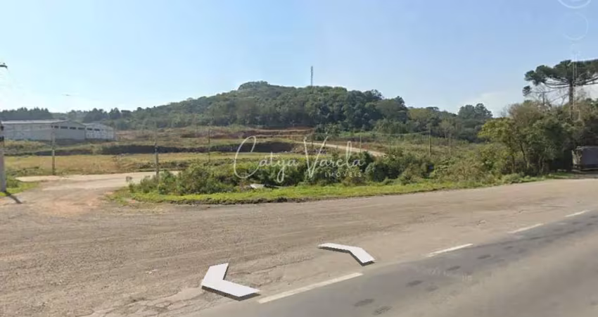 Terreno à venda na Rodovia RS-453, S/N, Bela Vista, Farroupilha