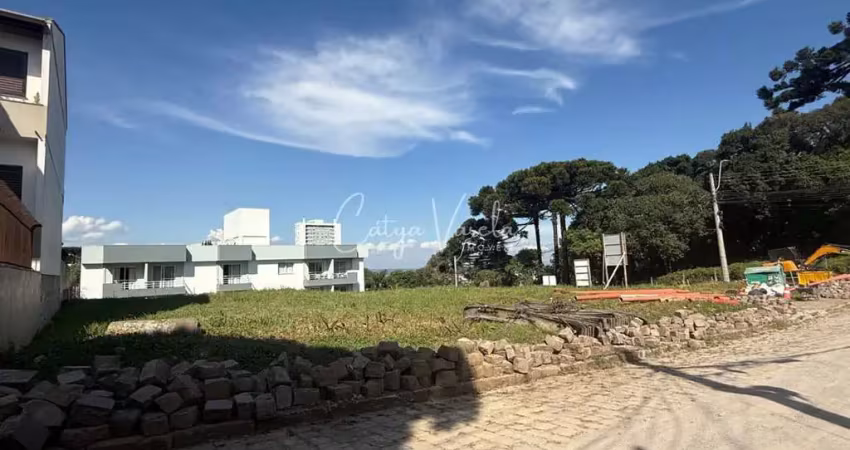 Terreno à venda na Rua Cesário Alvim, Petrópolis, Caxias do Sul