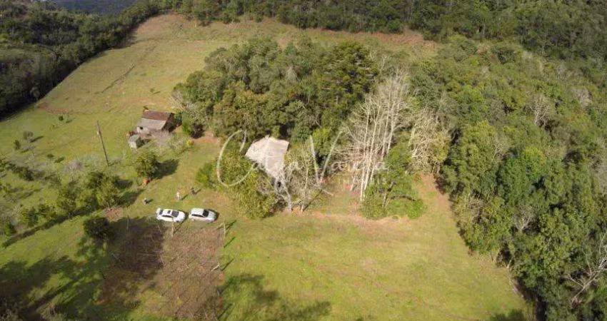 Chácara / sítio à venda na Estrada Linha Bonita - Forqueta, 3031, Zona Rural, Gramado