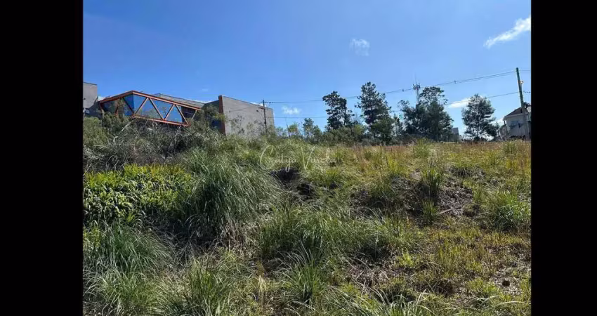 Terreno à venda na Rua Julia De Carli Paglioli, São Luiz, Caxias do Sul