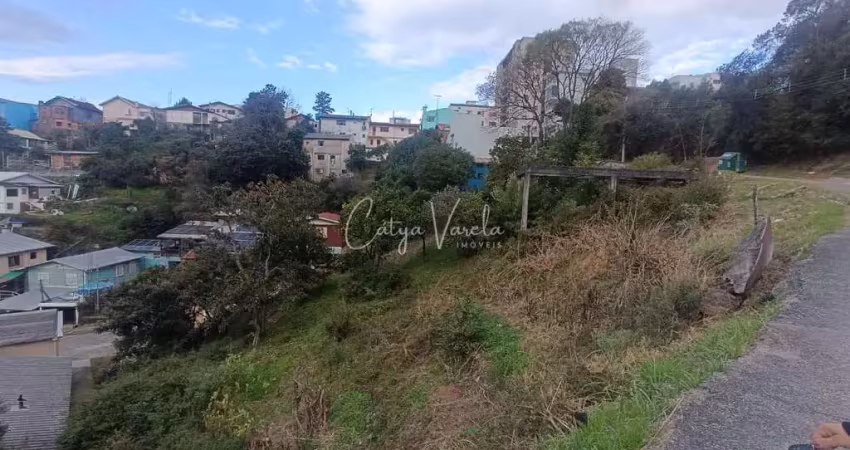 Terreno à venda na Rua Monsenhor Compagnoni, Universitário, Caxias do Sul