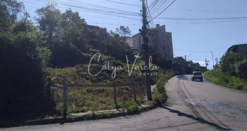 Terreno à venda na Rua Professor Gilberto Piazza esquina com a Rua Almerinda Ramos Santos, Charqueadas, Caxias do Sul
