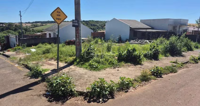Terreno à venda na Avenida Cruzeiro do Sul, Integração, Passo Fundo