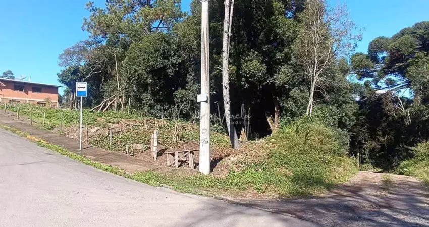 Terreno à venda na Rua Jose Constant Lazarri, Lote, Cidade Nova, Caxias do Sul