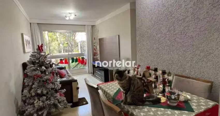 Apartamento com 3 dormitórios à venda, 67 m² por r$ 490.000,00 - vila nova cachoeirinha - são paulo/sp
