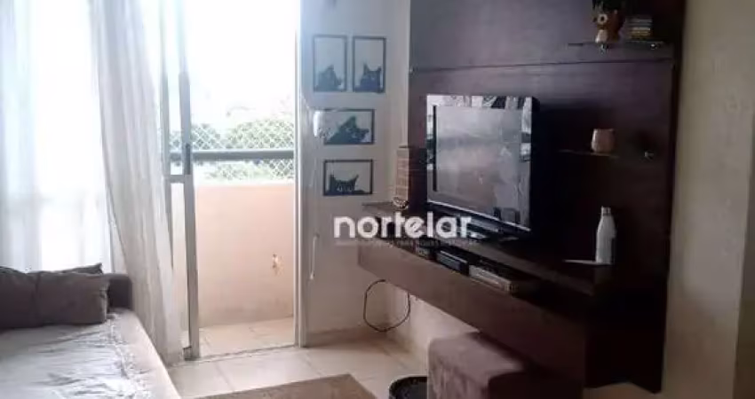 Apartamento com 2 dormitórios à venda, 50 m² por R$ 310.000,00 - Vila Roque - São Paulo/SP