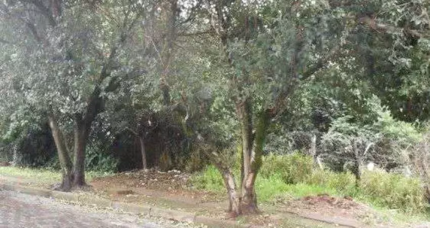 Terreno à venda, 1200 m² por r$ 556.000,00 - vila conceição - porto alegre/rs