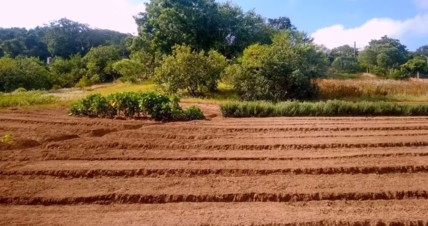 Atenção linda área de 12.335,90 m2 plana e plantada estudo carro e imovel no pag