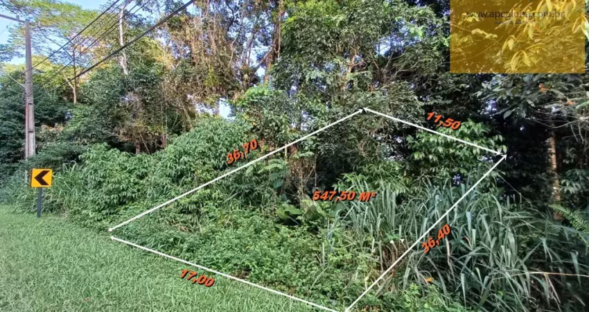 Terreno à venda na Avenida Vinte e Nove de Abril, S/NUMERO, Centro, Guaratuba