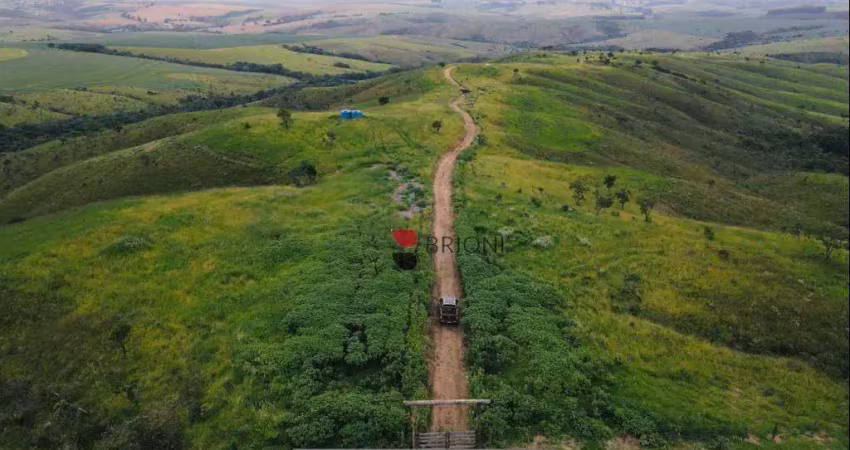 Fazenda à venda, 80 alqueires paulista,sacramento mg i imobiliária em ribeirão preto i brioni ig