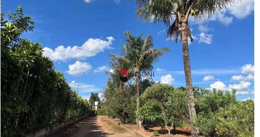 Sítio com 3 dormitórios à venda, 30000 m² por - são carlos/sp i imobiliária brioni imóveis