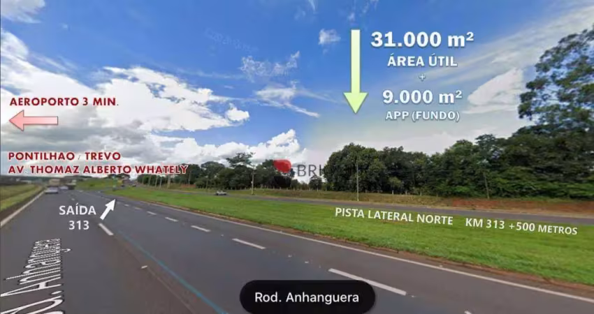 Área na rodovia anhanguera, a venda, 40.000m²,  ribeirão preto/sp