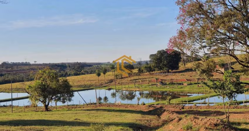 Fazenda com 2 dorms, Centro, Mirassol - R$ 14 mi, Cod: 9579