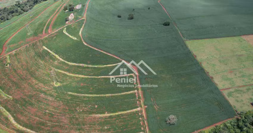 Sítio à venda, 157300 m² por r$ 3.000.000,00 - zona rural - batatais/sp