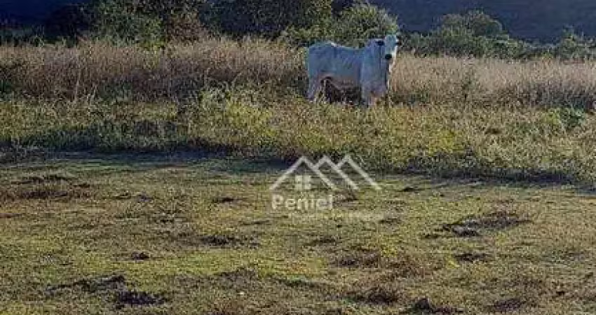 Fazenda com 3 dormitórios à venda, 2216720 m² por r$ 6.305.000,00 - zona rural - minaçu/go