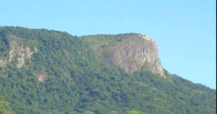 Terreno à venda na Rua dos Cravos, Pedra Branca, Palhoça