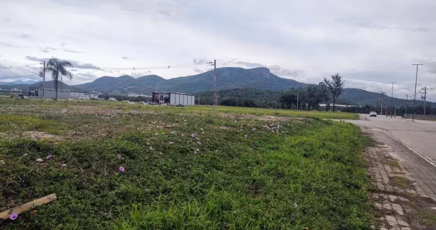 Terreno comercial para alugar na Dalva da Silva Wiese, 100, Sertão do Maruim, São José