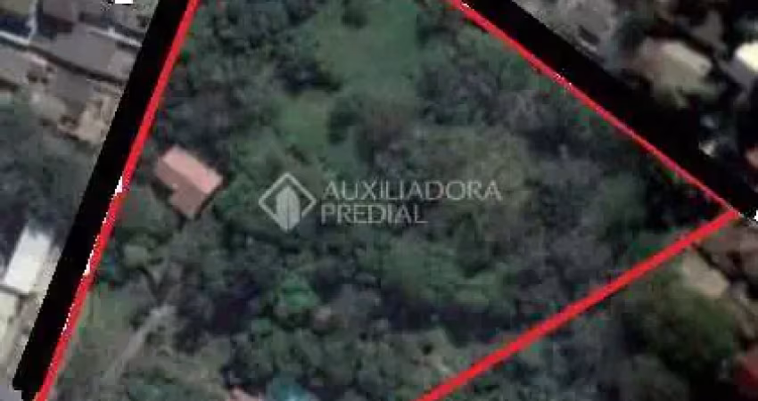 Terreno em condomínio fechado à venda na Avenida Professor Oscar Pereira, 5260, Cascata, Porto Alegre