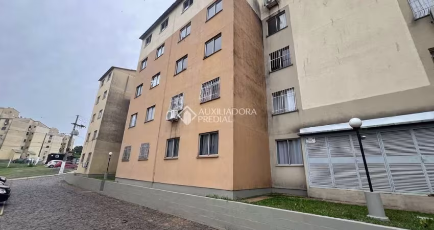 Apartamento com 2 quartos à venda na Beco Império, 241, Hípica, Porto Alegre