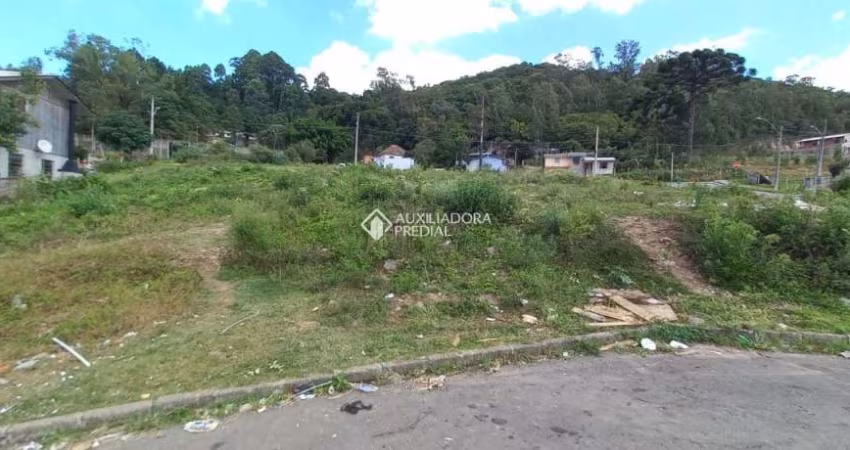 Terreno à venda na Rua João Celli, 2, Santa Catarina, Caxias do Sul