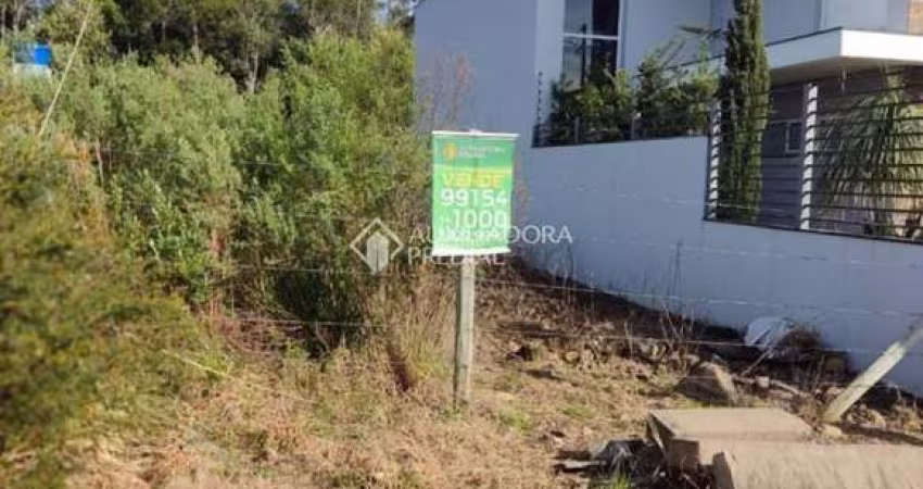 Terreno à venda na Estrada Municipal Manoel Pedrotti, 999, Diamantino, Caxias do Sul